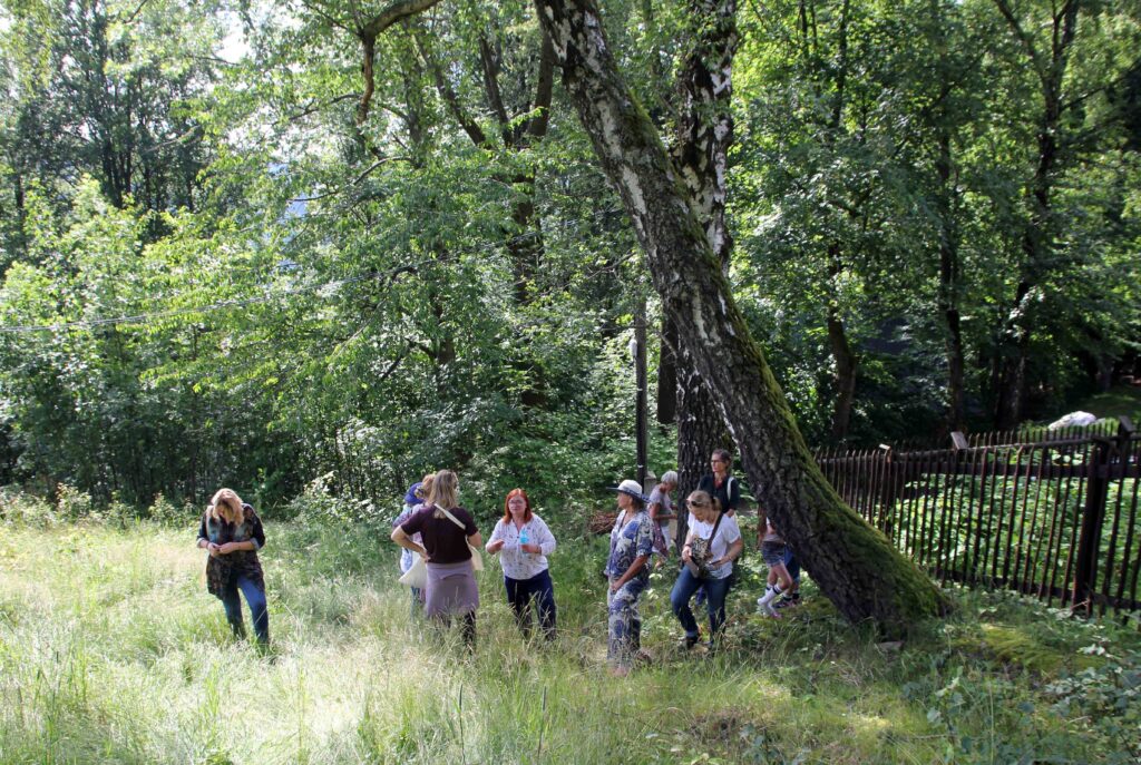 warsztaty-jogi-wisła-ogród
